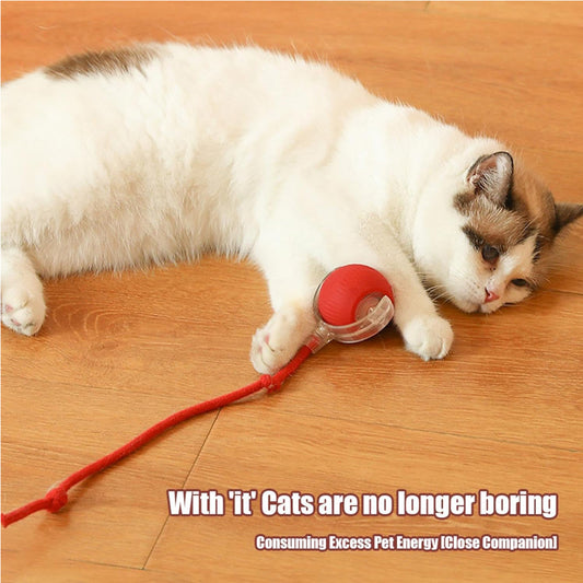 Self-moving electric pet ball that changes direction