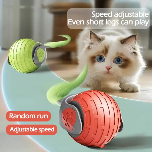 Auto-rolling smart cat ball, USB rechargeable