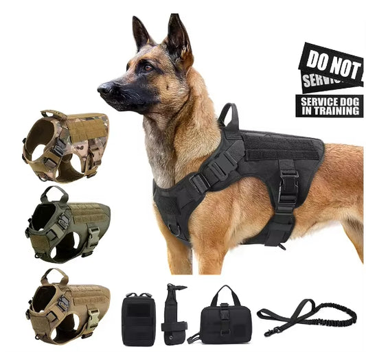 No-pull dog harness and leash set in camo nylon