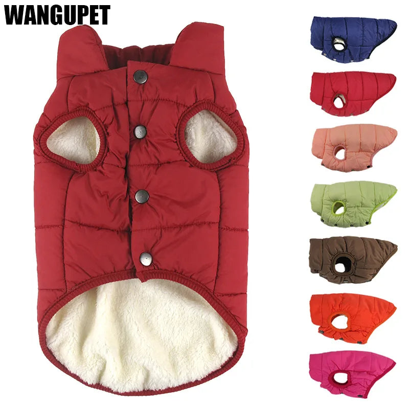 Cotton-padded winter dog coat for cold weather