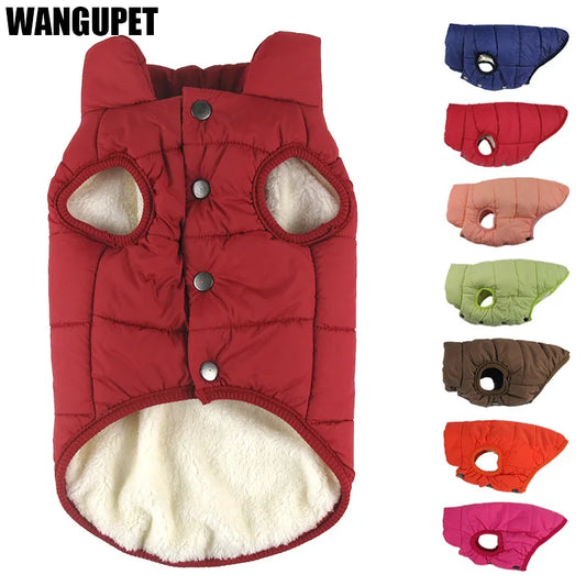 Cotton-padded winter dog coat for cold weather