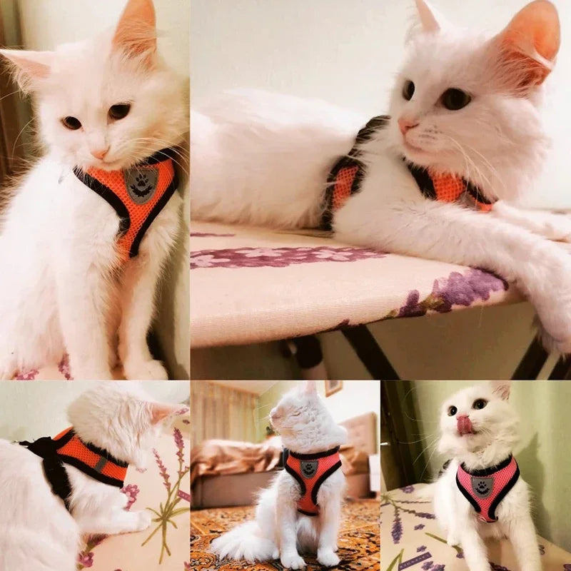 Adjustable Mesh Dog & Cat Harness — No-Choke Walking Vest for Puppies & Small Pets