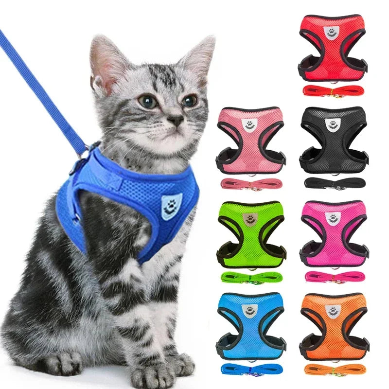 Adjustable mesh no-choke dog and cat walking harness