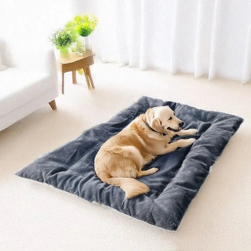 Plush Pet Bed — Ultra-Soft Cushioned Sofa Bed for Dogs & Cats
