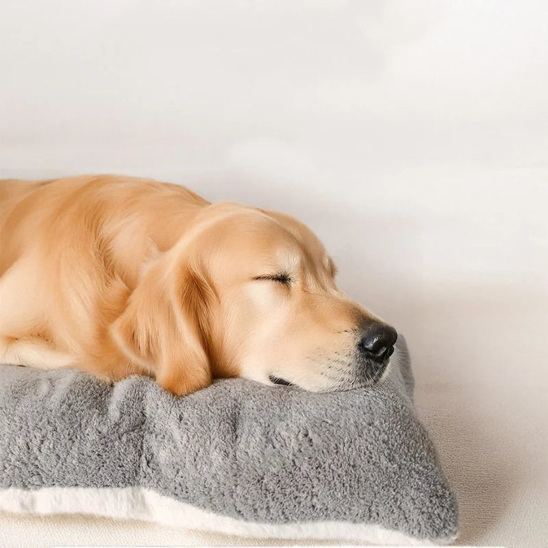 Plush Pet Bed — Ultra-Soft Cushioned Sofa Bed for Dogs & Cats