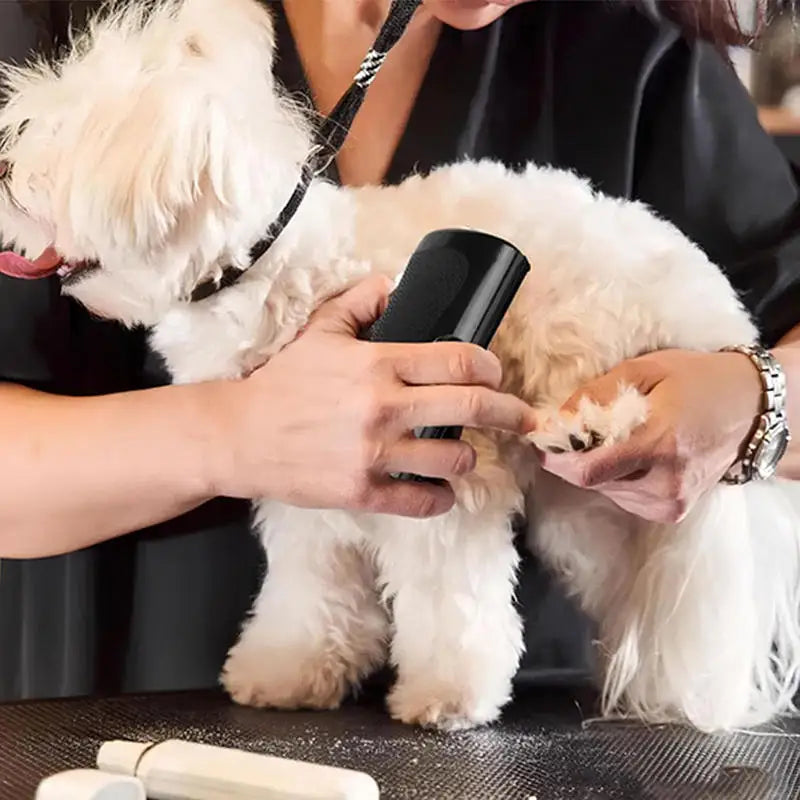 Self-Cleaning Deshedding Brush