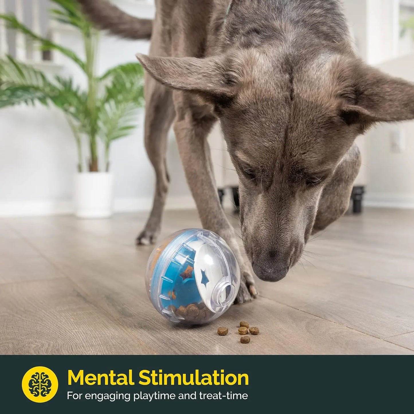 Treat-Dispensing Puzzle Toy — IQ Treat Ball for Dogs & Cats