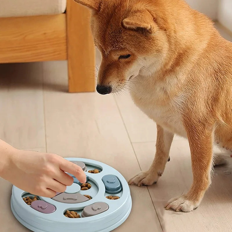 Slow Feeder Bowl — Anti-Gulp Maze Bowl for Dogs & Cats