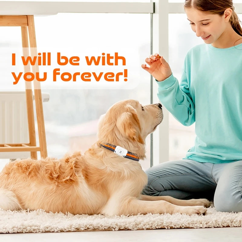 GPS Pet Tracker Collar — Real-Time 4G Location & Activity (SIM Required)