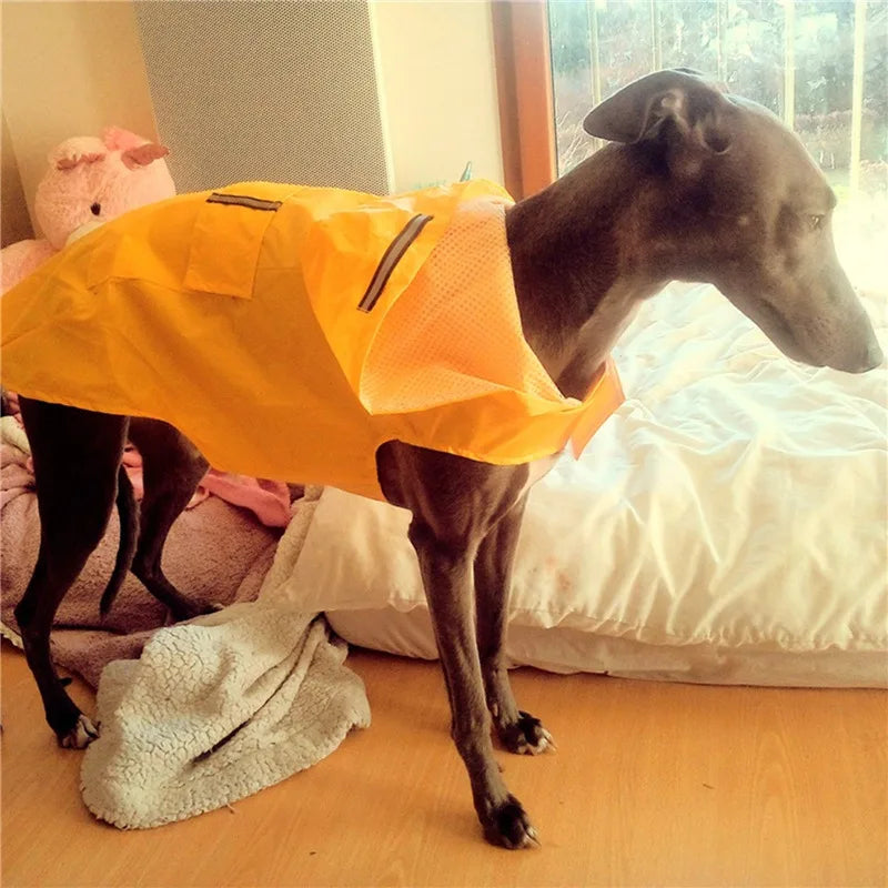 Hooded Dog Raincoat — Waterproof Rain Jacket with Reflective Strip, All Sizes