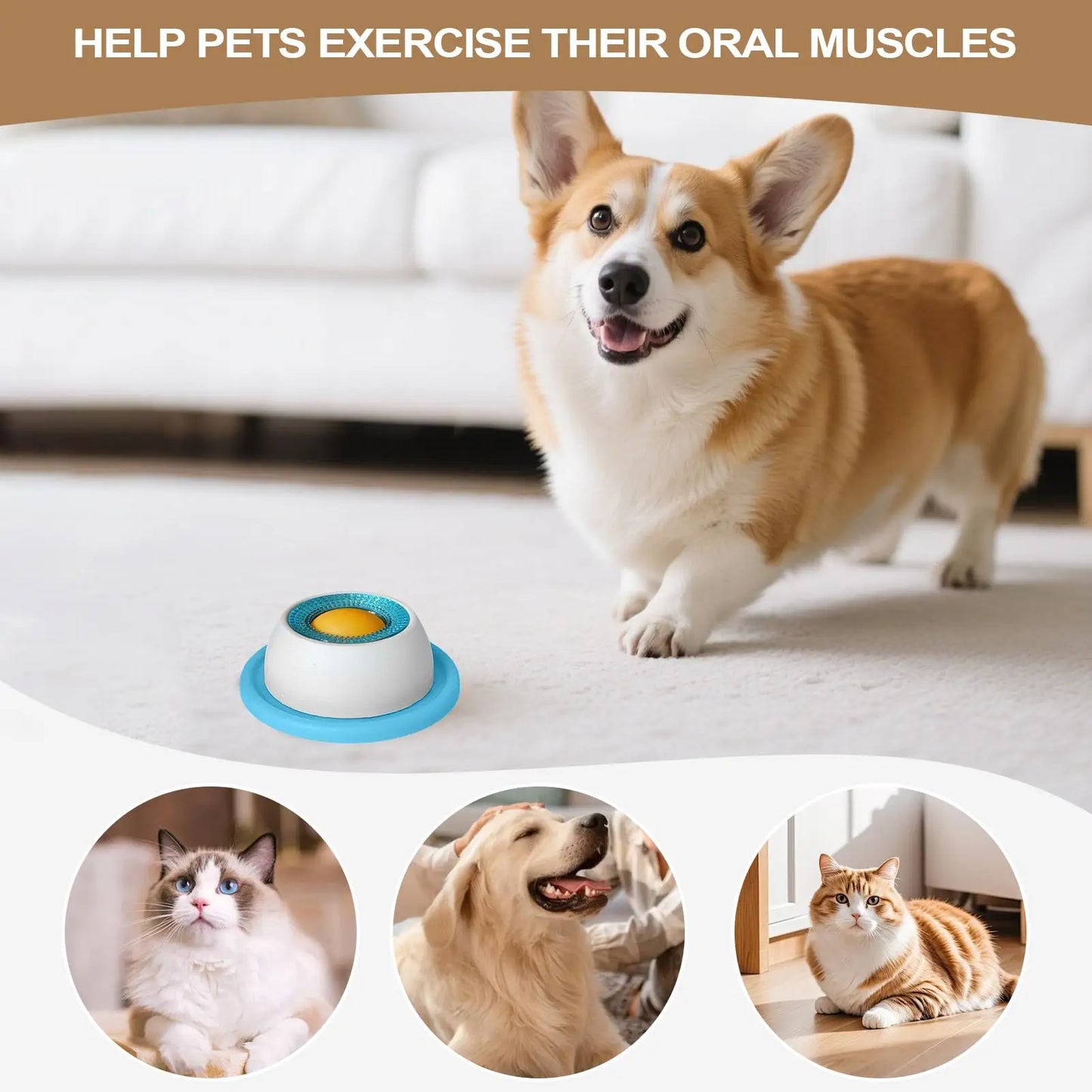 Dog Treat Puzzle Slow Feeder — Interactive Boredom-Busting Feeding Toy