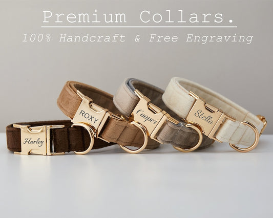 Velvet bow dog collar with metal buckle