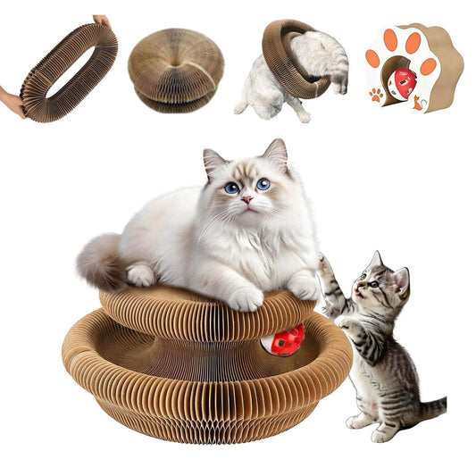 KurlyKat accordion cat scratcher curved into a ring on a living room floor